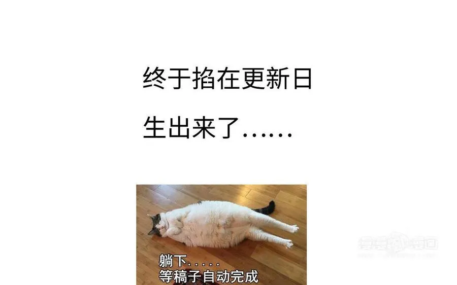 第53话 条件114