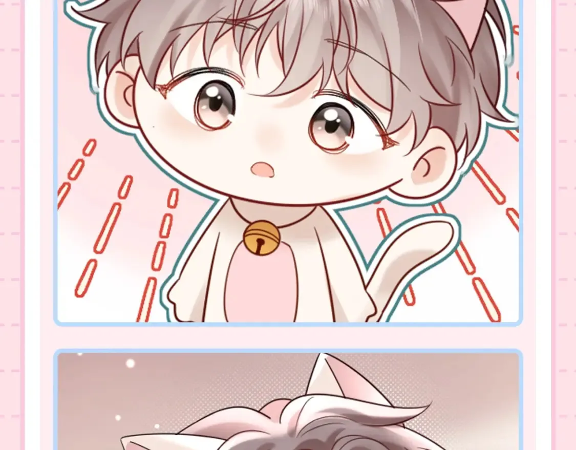 第3期 特别企划：祁猫猫表情包来咯！6