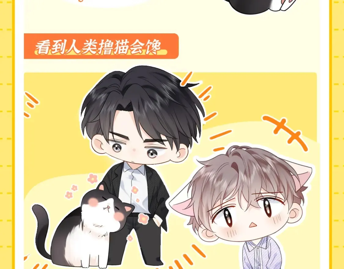第1期 特别企划：当他变成猫猫后13