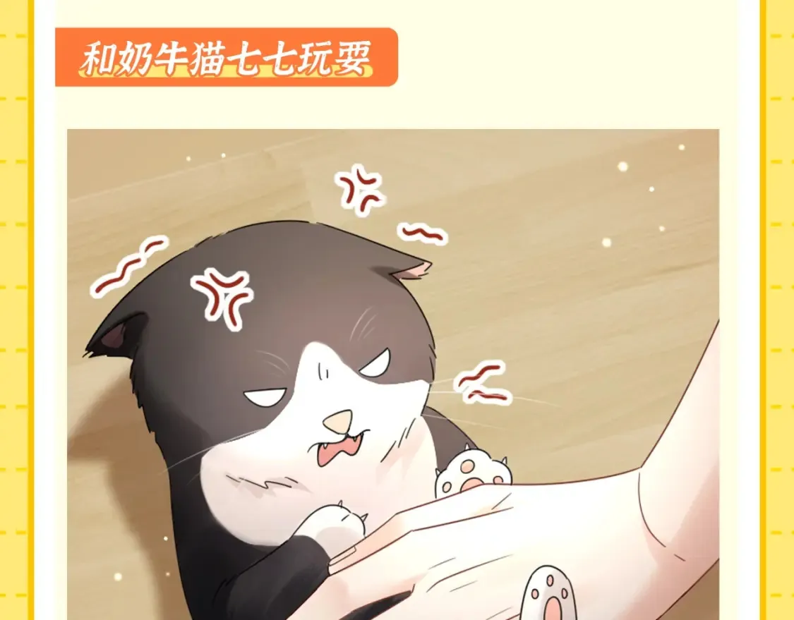 第1期 特别企划：当他变成猫猫后9
