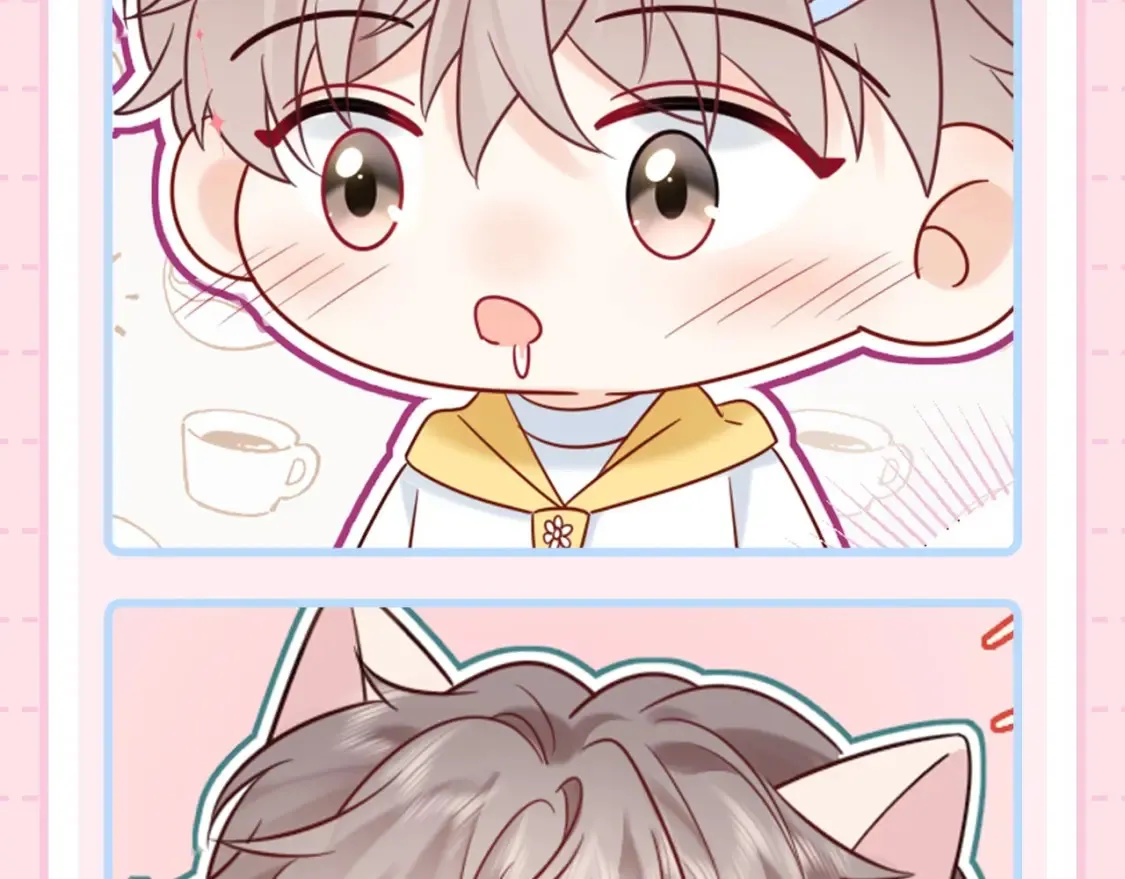 第3期 特别企划：祁猫猫表情包来咯！5