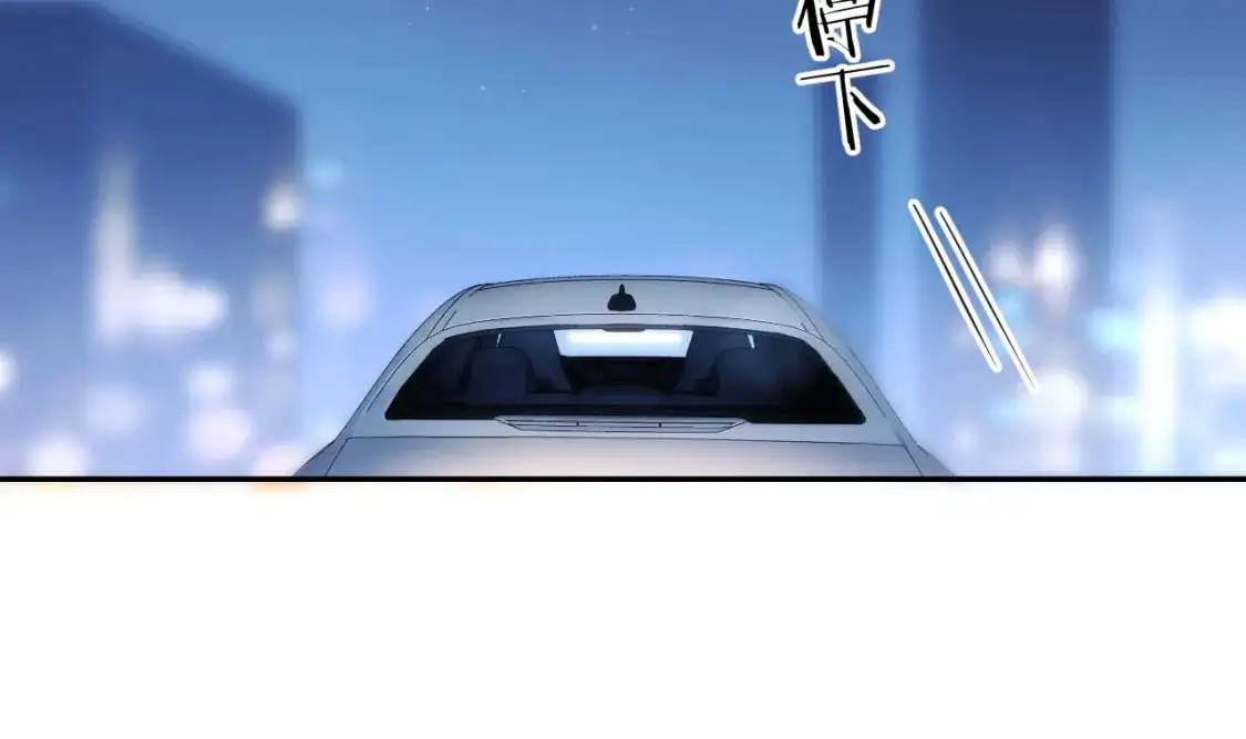 第19话 小猫咪一只就够了70