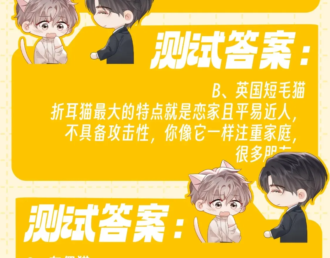 第6期 整活企划：测测你是哪种猫猫？11