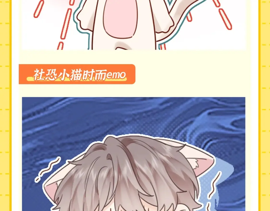 第1期 特别企划：当他变成猫猫后6