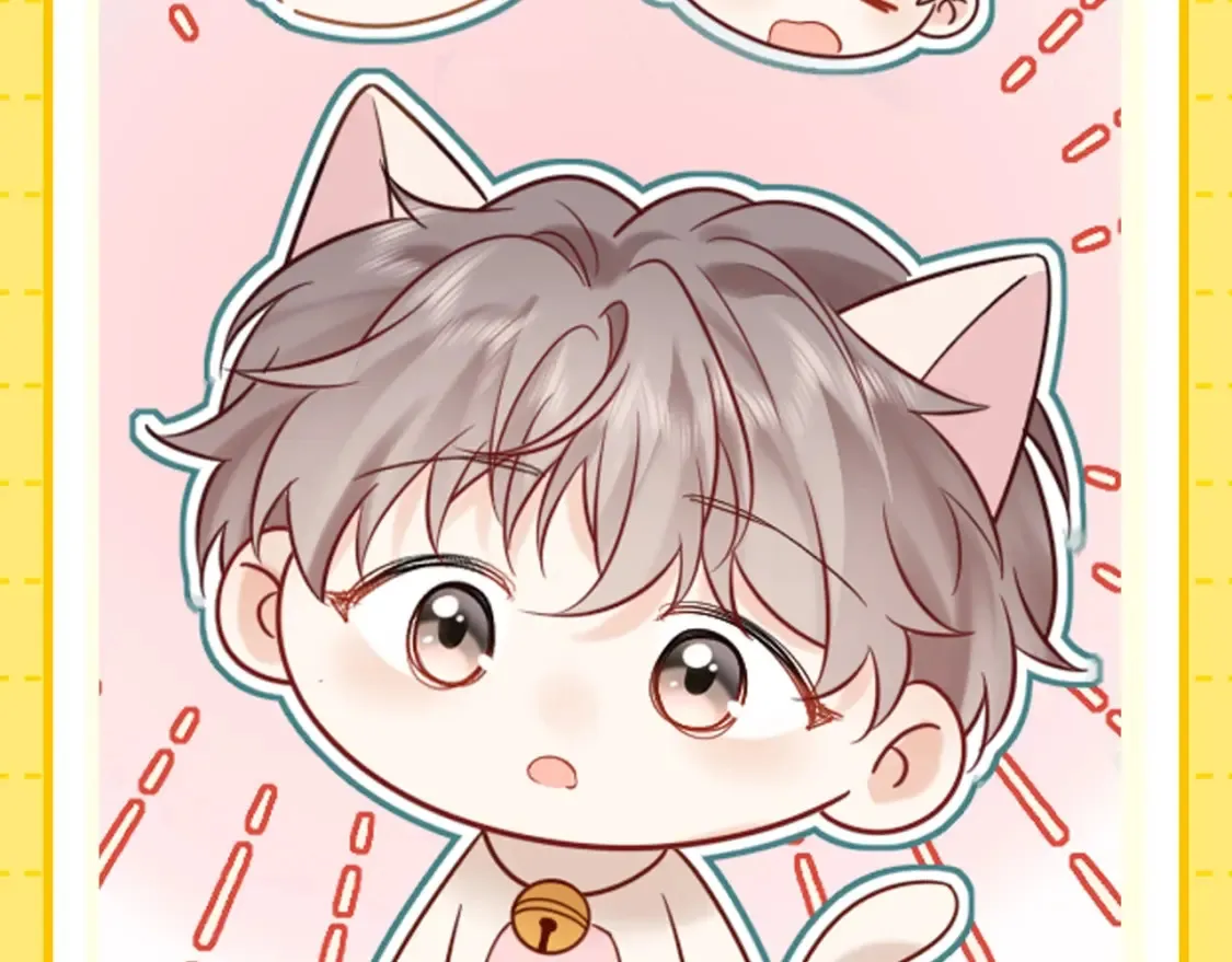 第1期 特别企划：当他变成猫猫后5