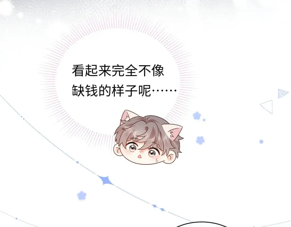 第19话 小猫咪一只就够了13