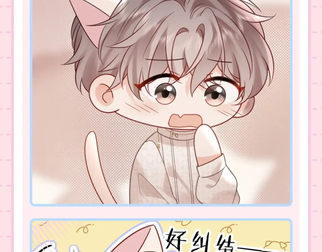 第3期 特别企划：祁猫猫表情包来咯！7
