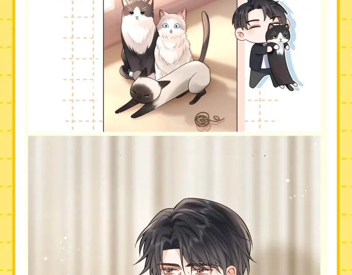 第1期 特别企划：当他变成猫猫后3