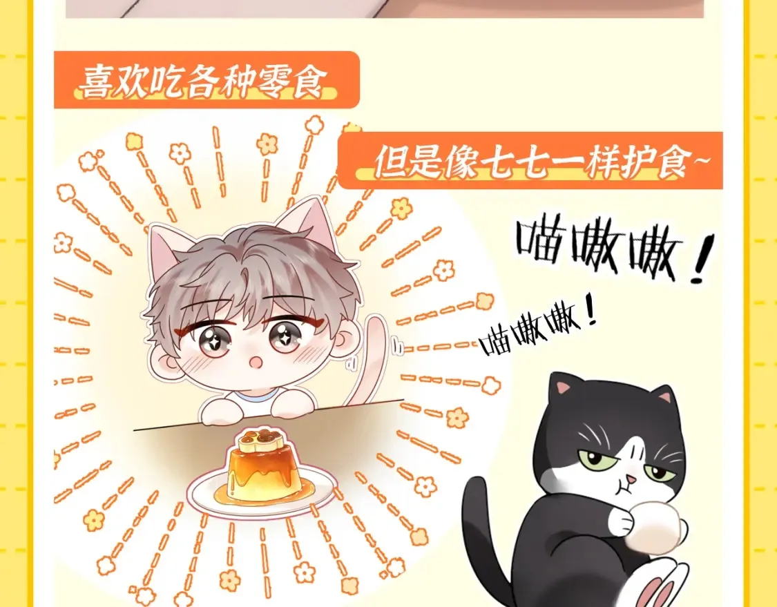 第1期 特别企划：当他变成猫猫后12