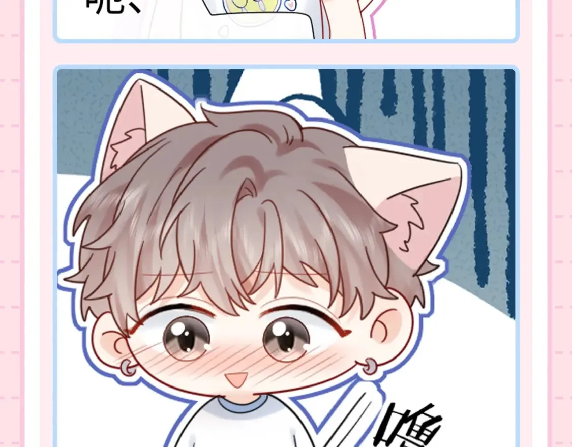 第3期 特别企划：祁猫猫表情包来咯！11
