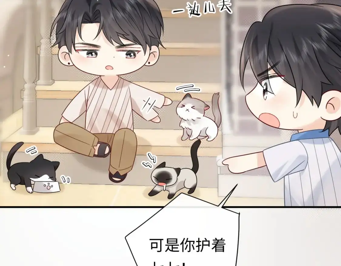 第17话  假糖？不，真的！5