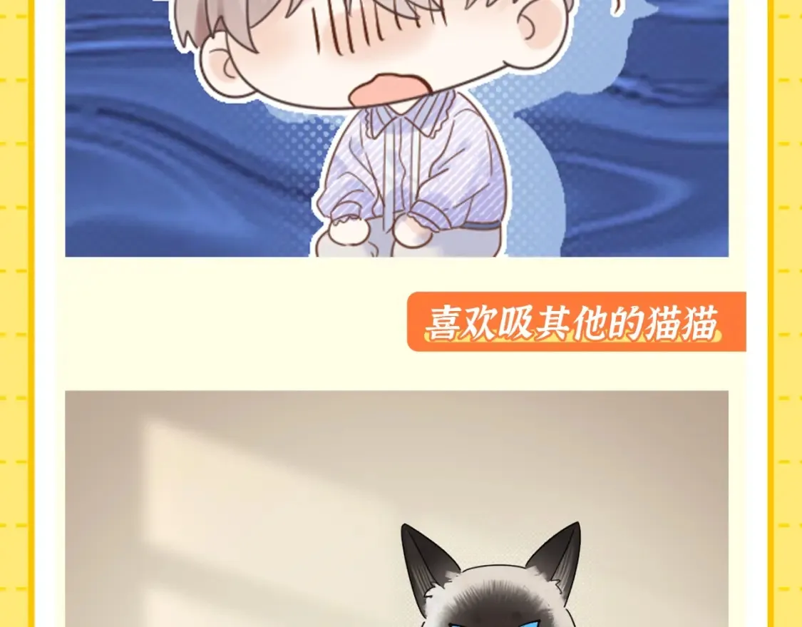 第1期 特别企划：当他变成猫猫后7