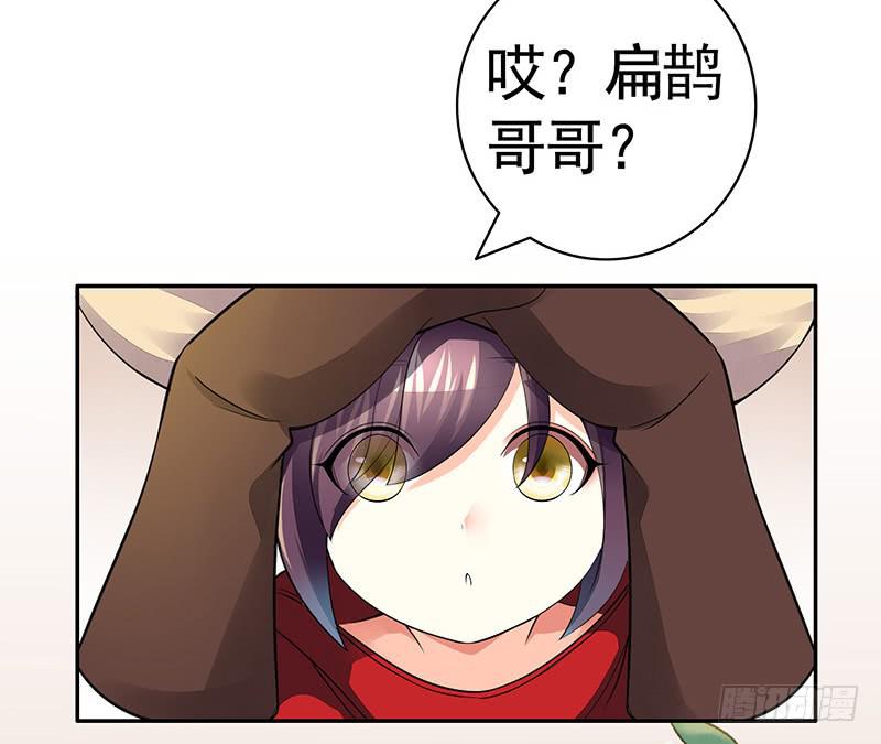 等一个奇迹出现12
