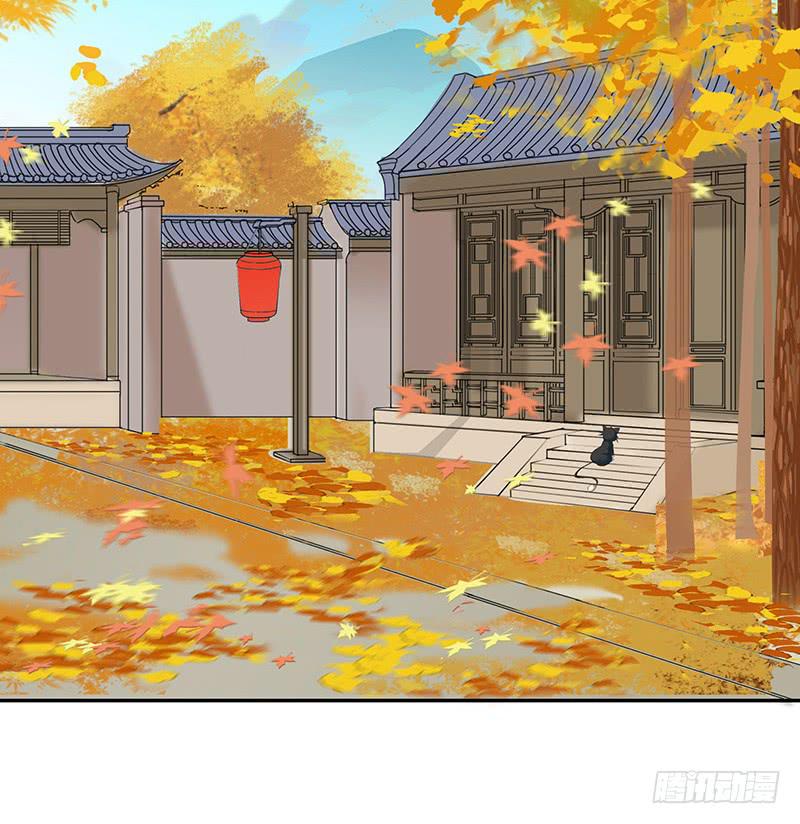 我想死你们啦！15