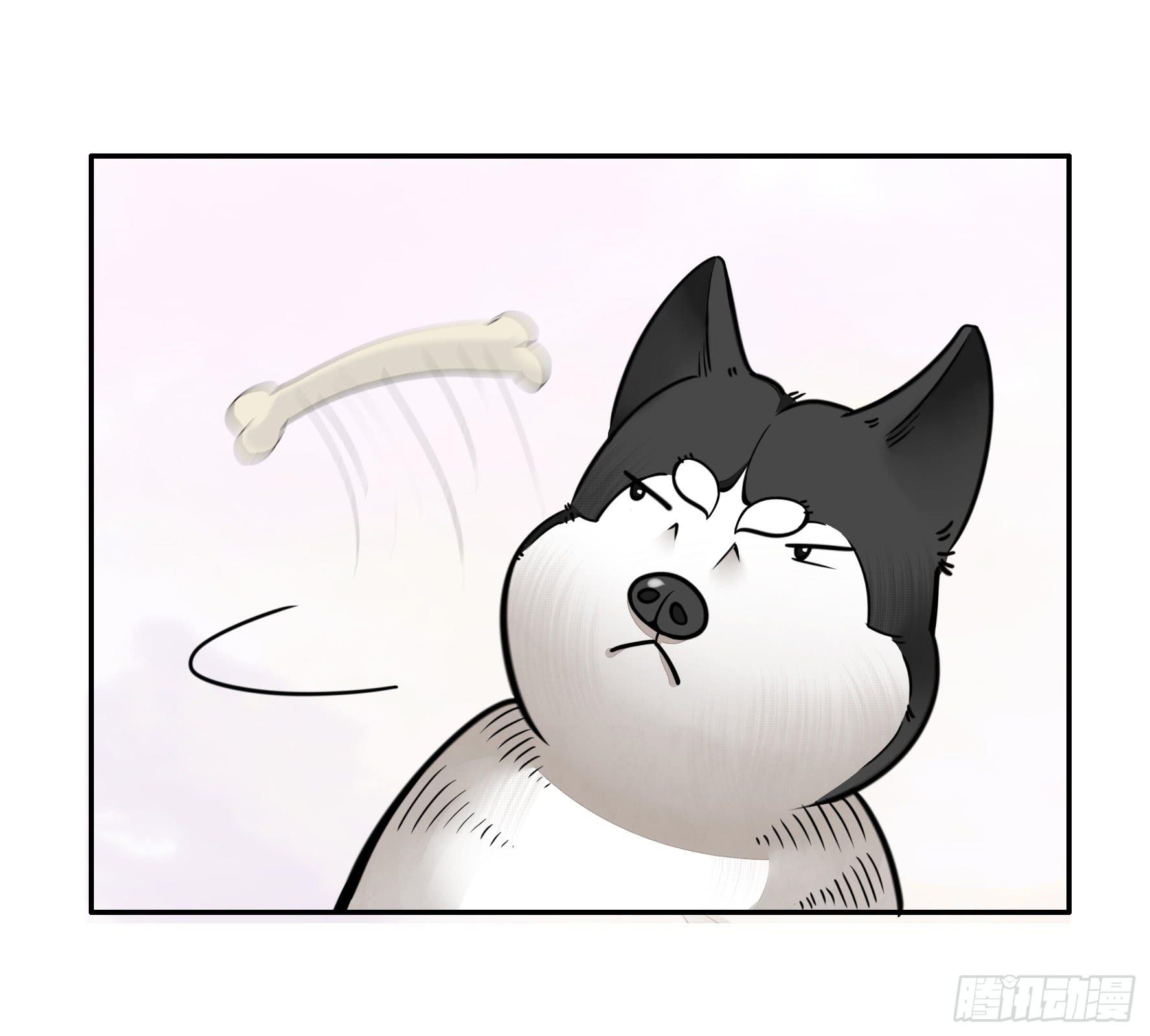 就决定是你了！哮天犬！21