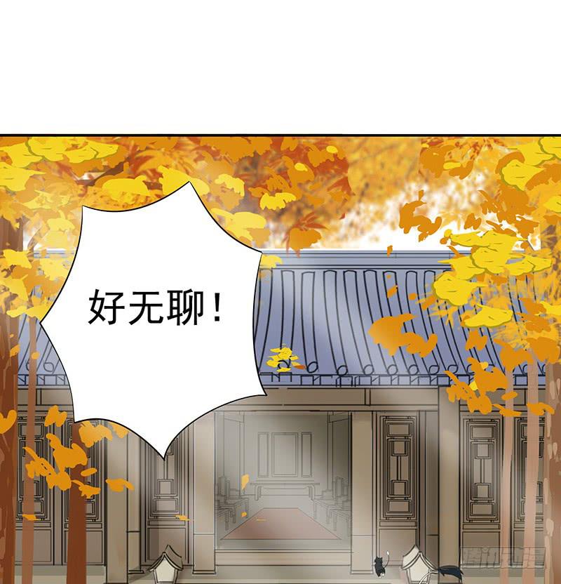 我想死你们啦！4