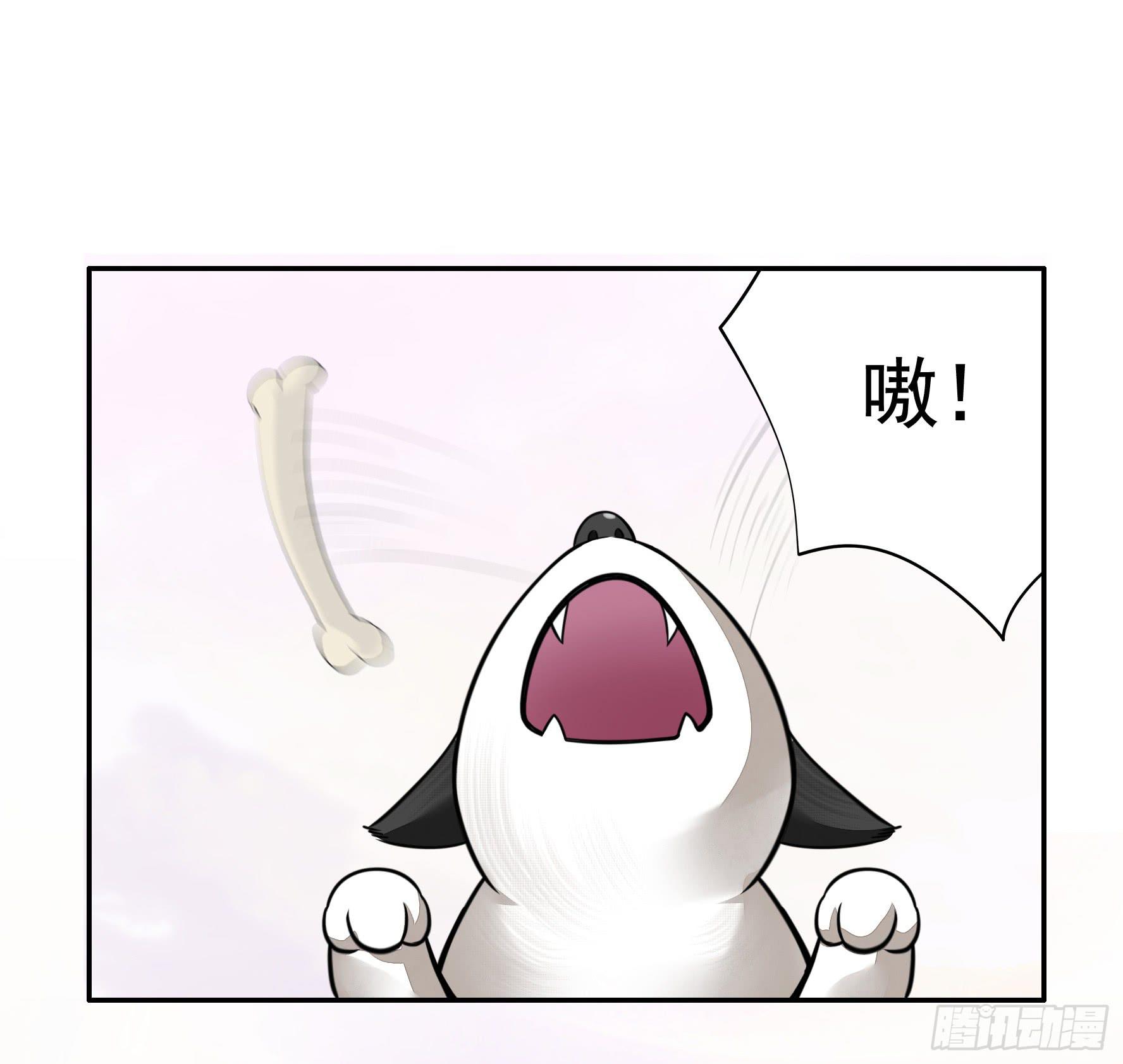 就决定是你了！哮天犬！22