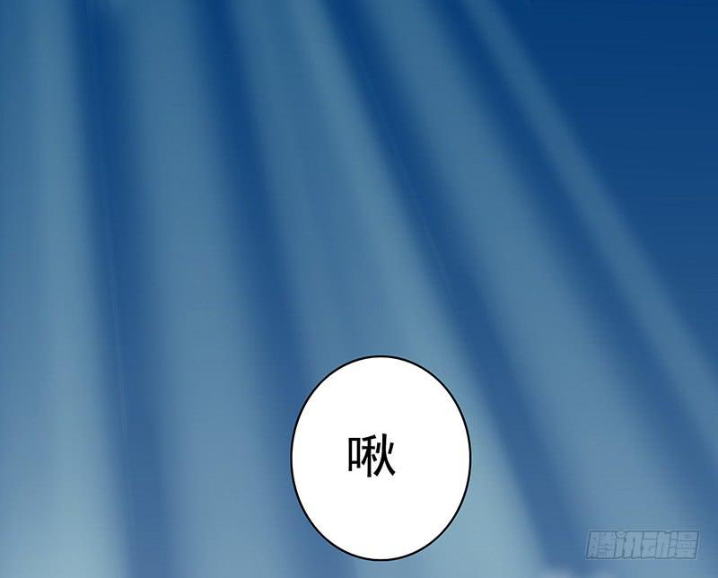 树上的鸟儿成双对18