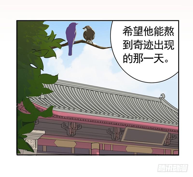 等一个奇迹出现16