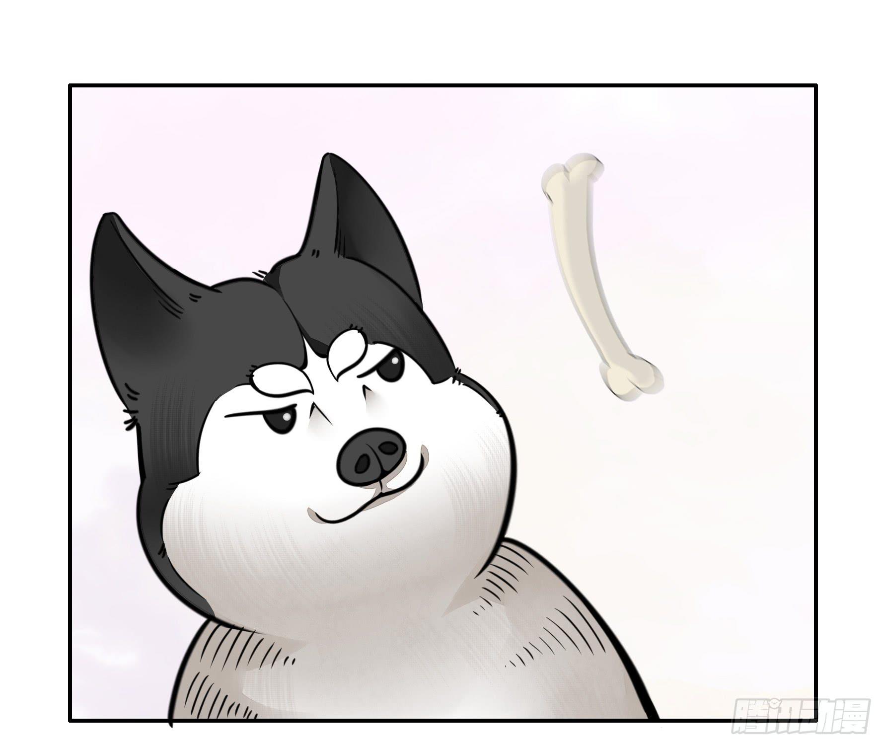 就决定是你了！哮天犬！16