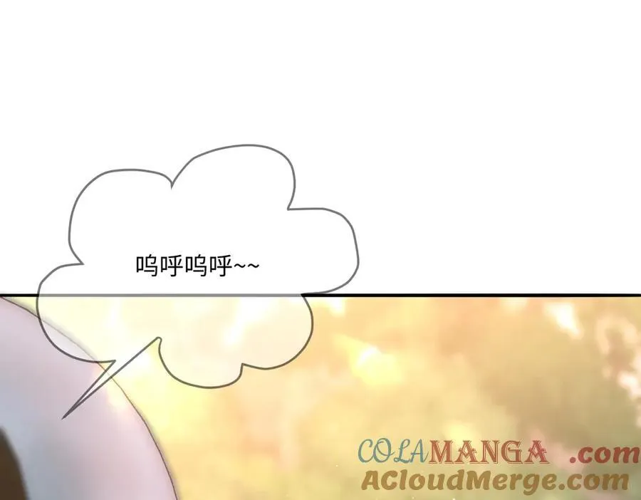 47 绝对实力36