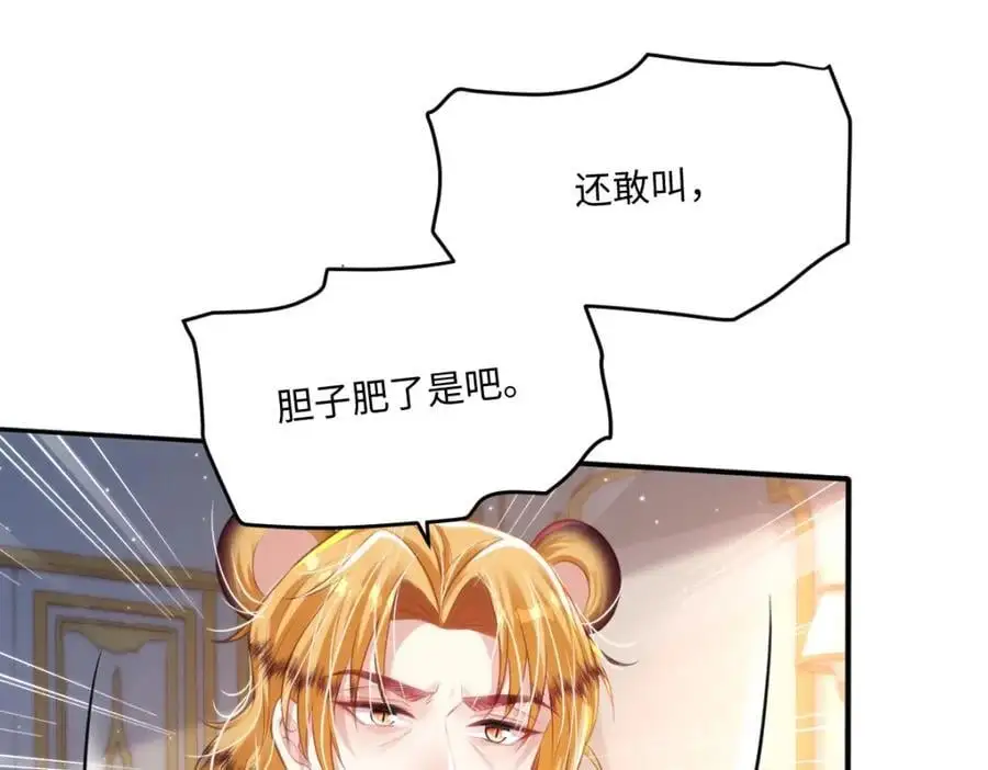 26 小豹子被38