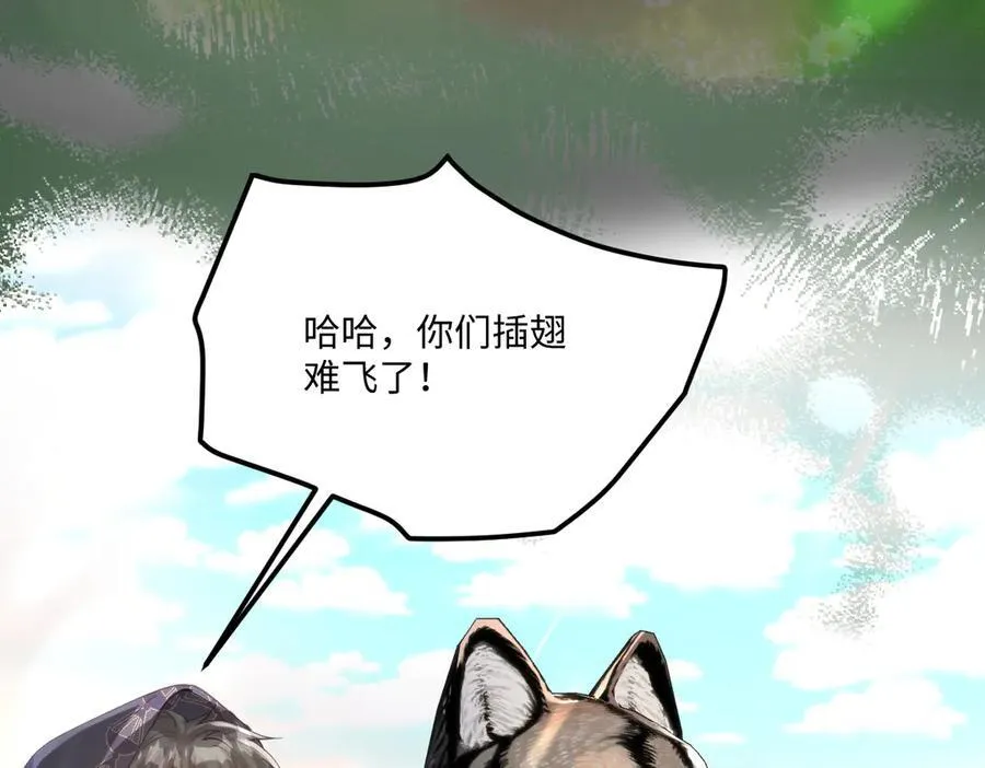 47 绝对实力79