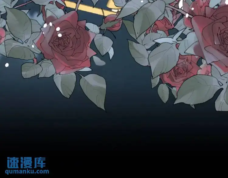17 莉拉的处境32