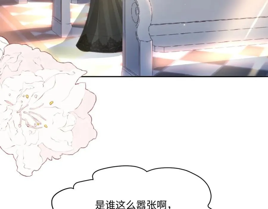 35 我们合作吧56