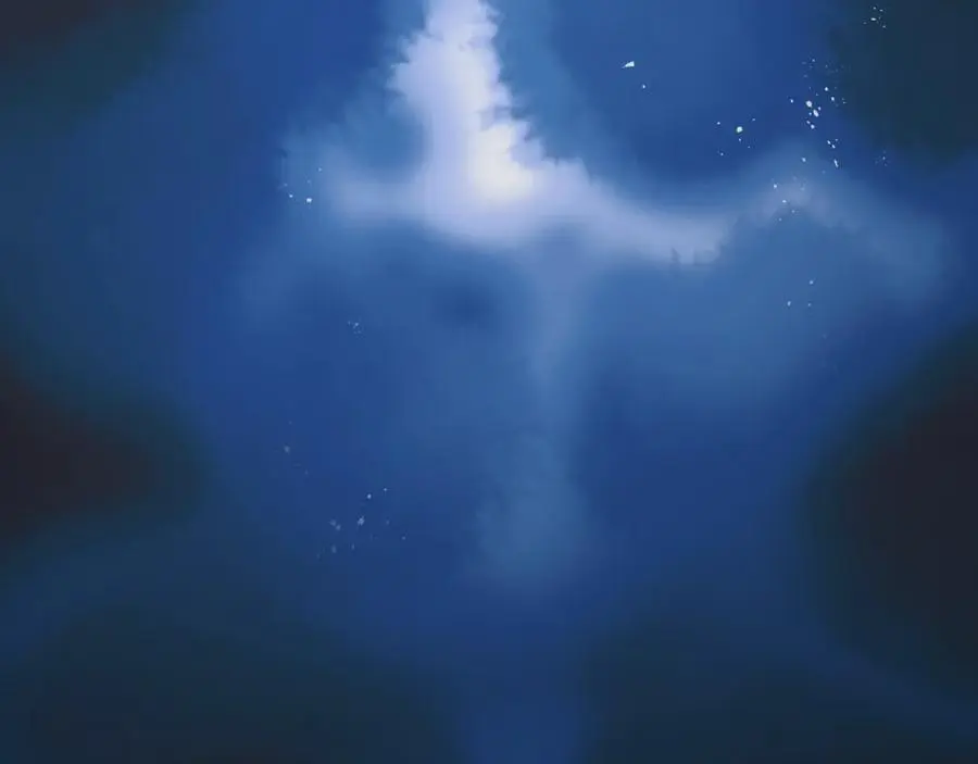 抓现行55