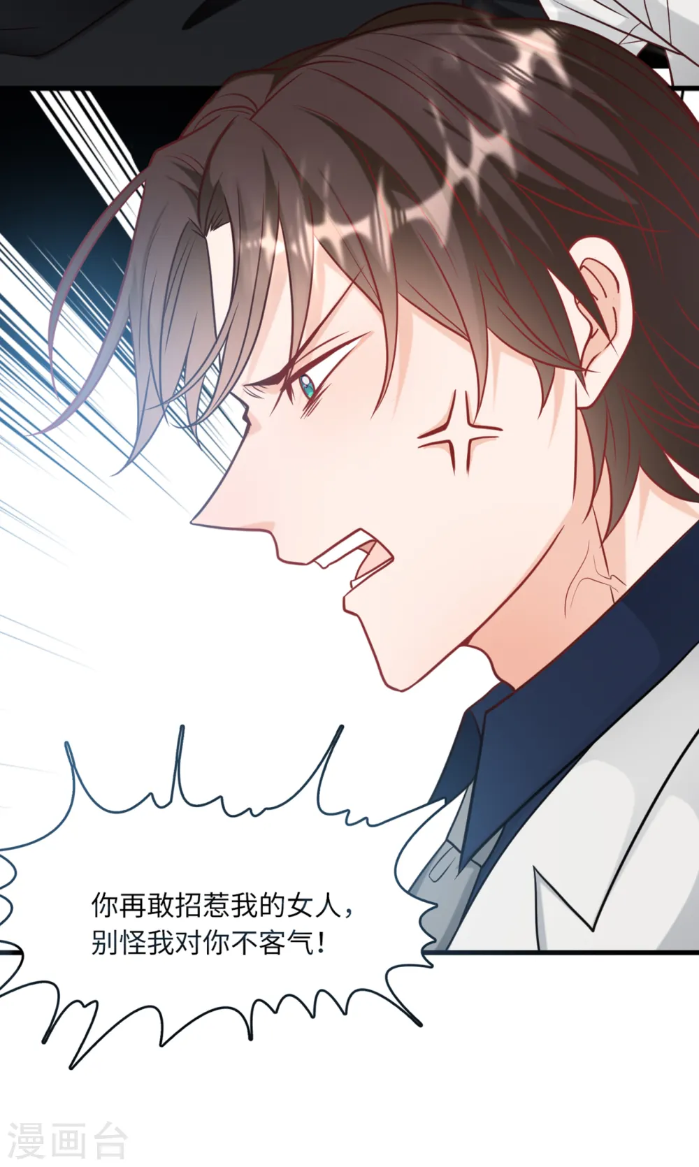 第66话 林叶枫的母亲18