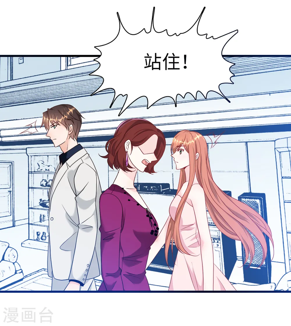 第66话 林叶枫的母亲26