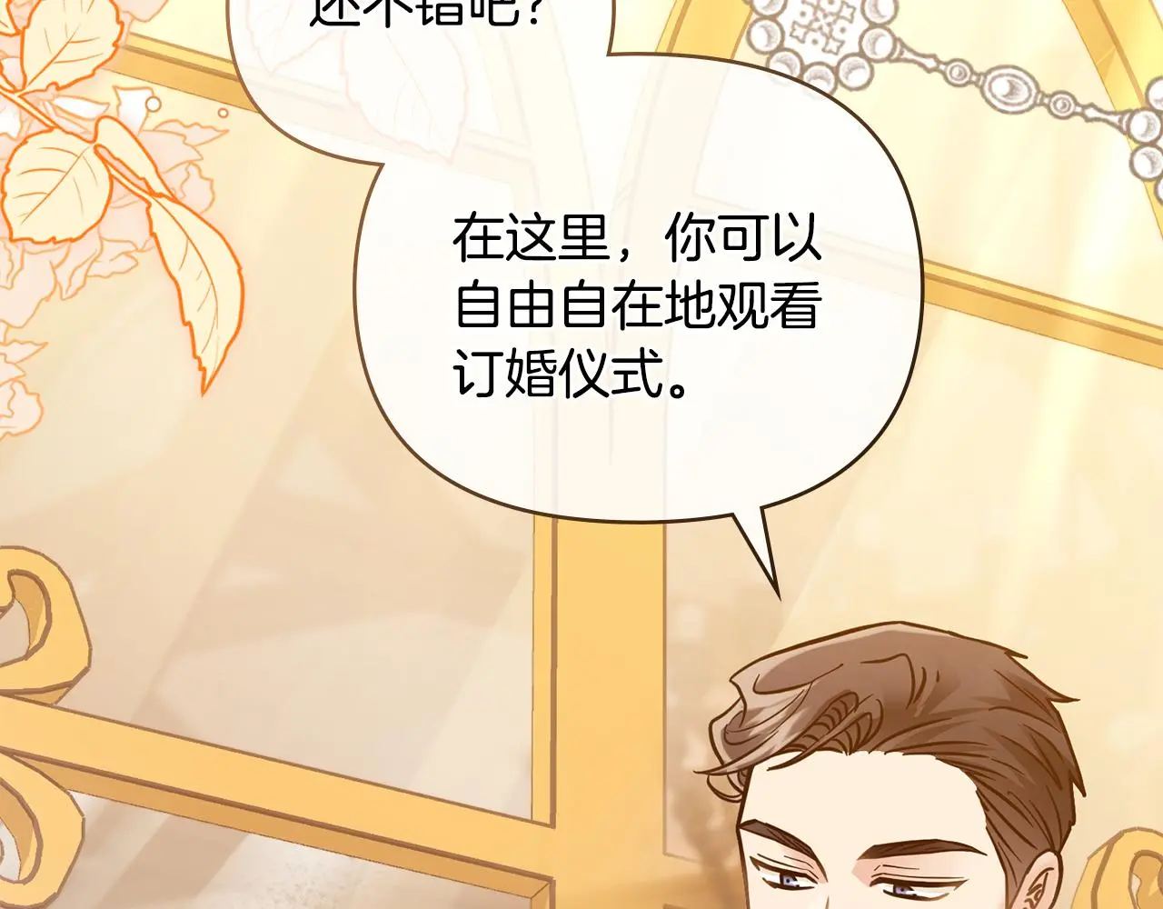 第60话 订婚仪式3