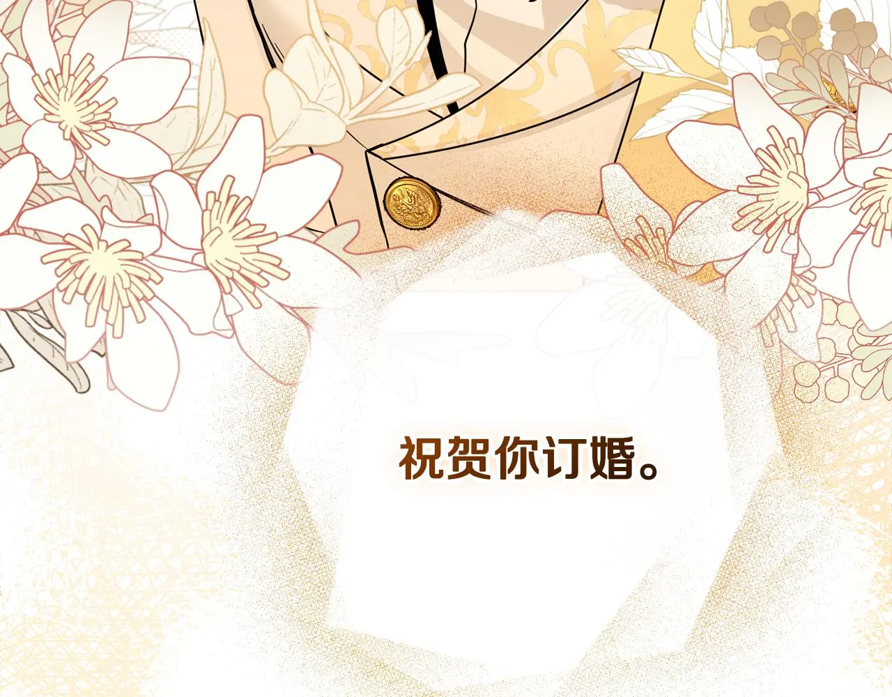 第60话 订婚仪式43
