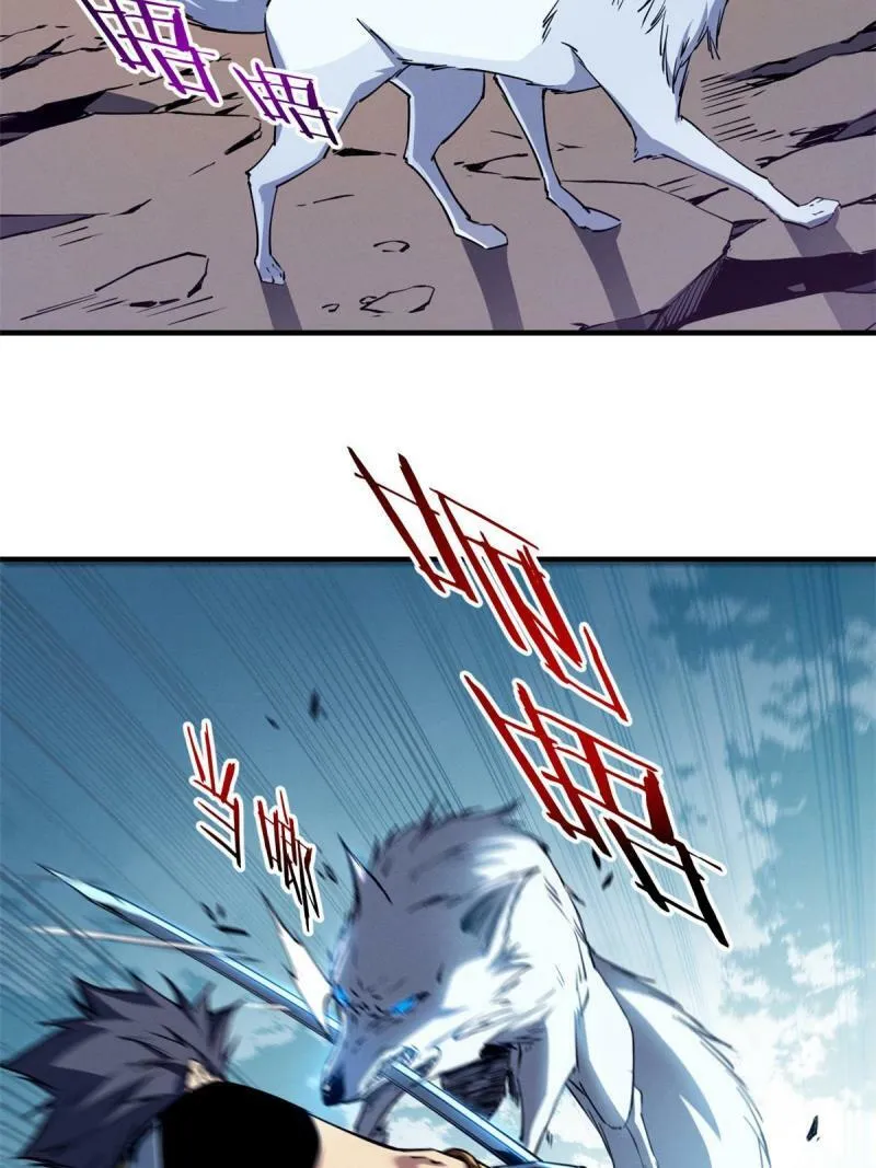 11 狡诈雪狐37