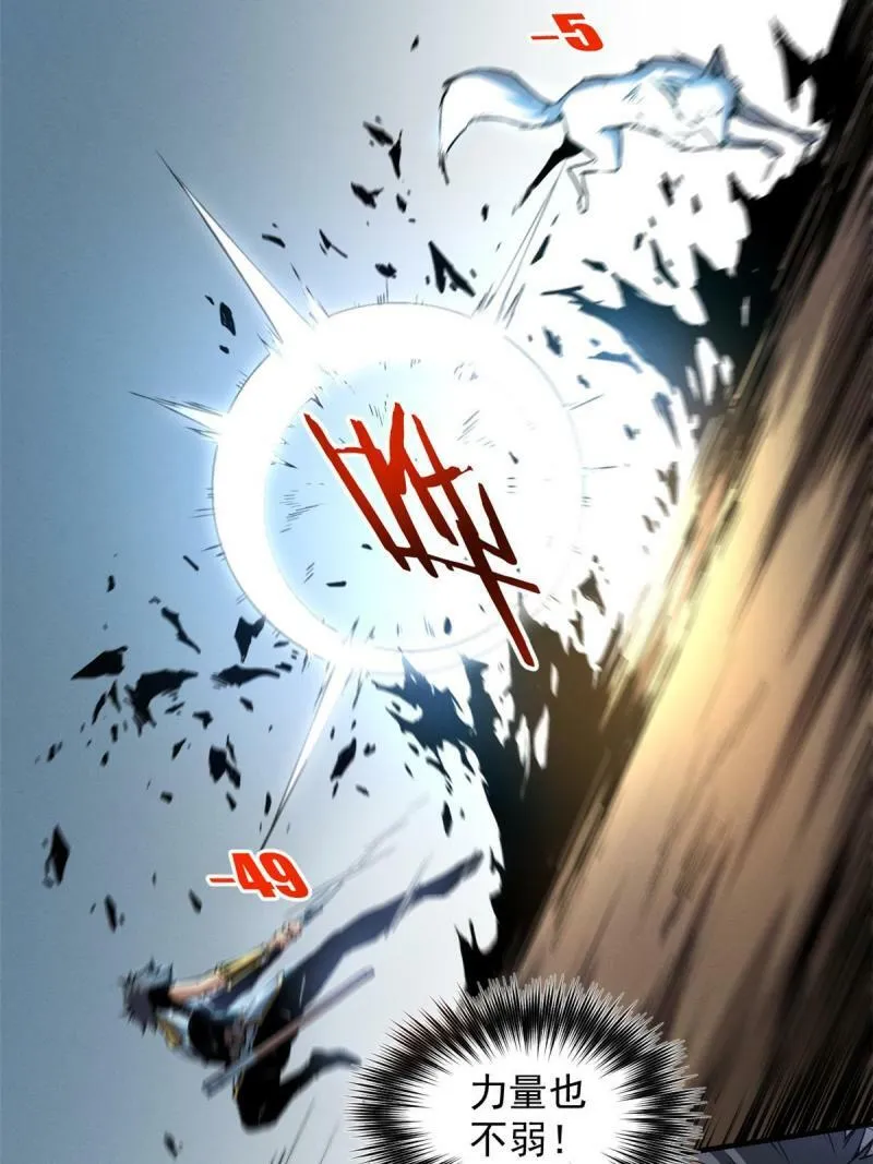 11 狡诈雪狐23