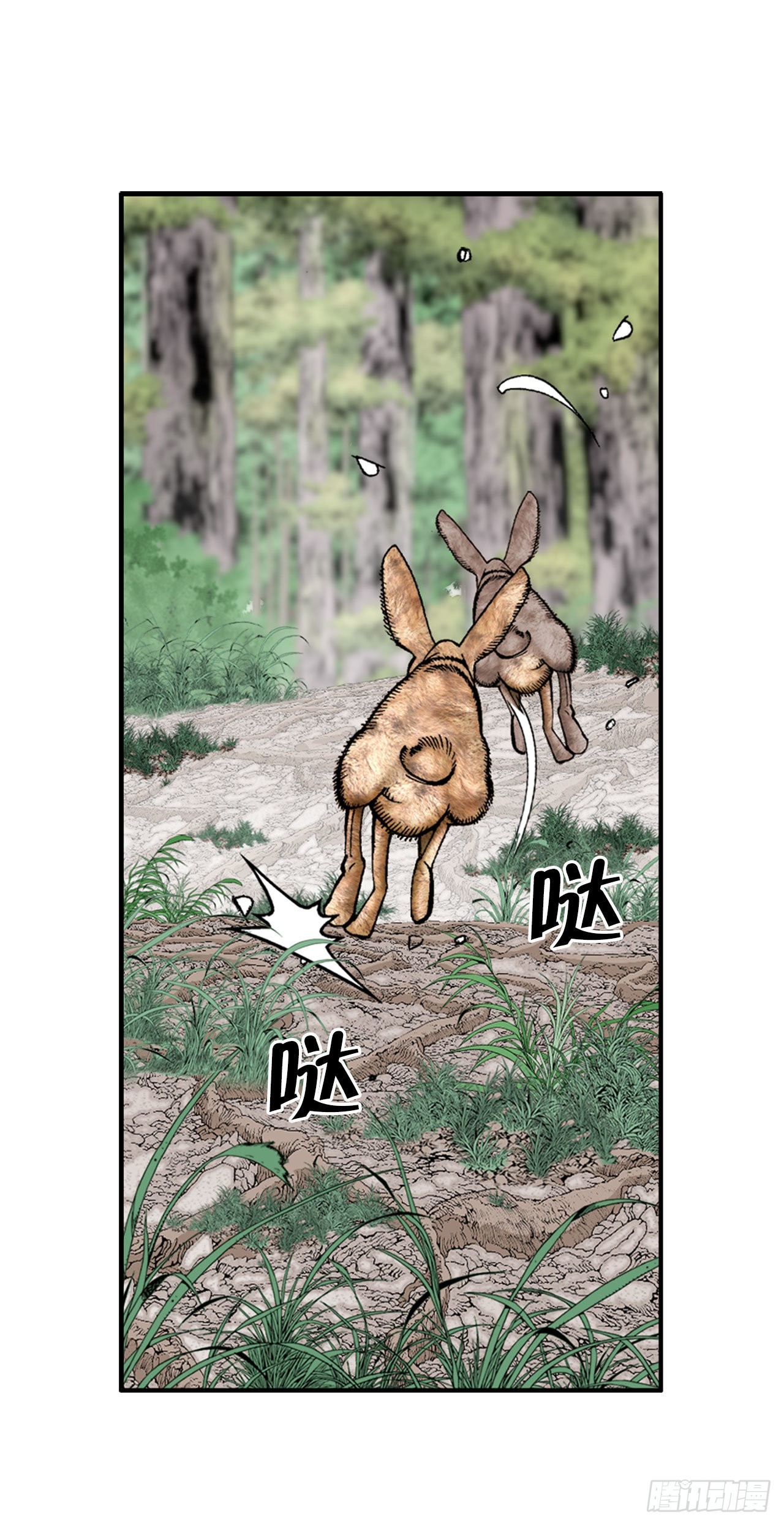8.野营91