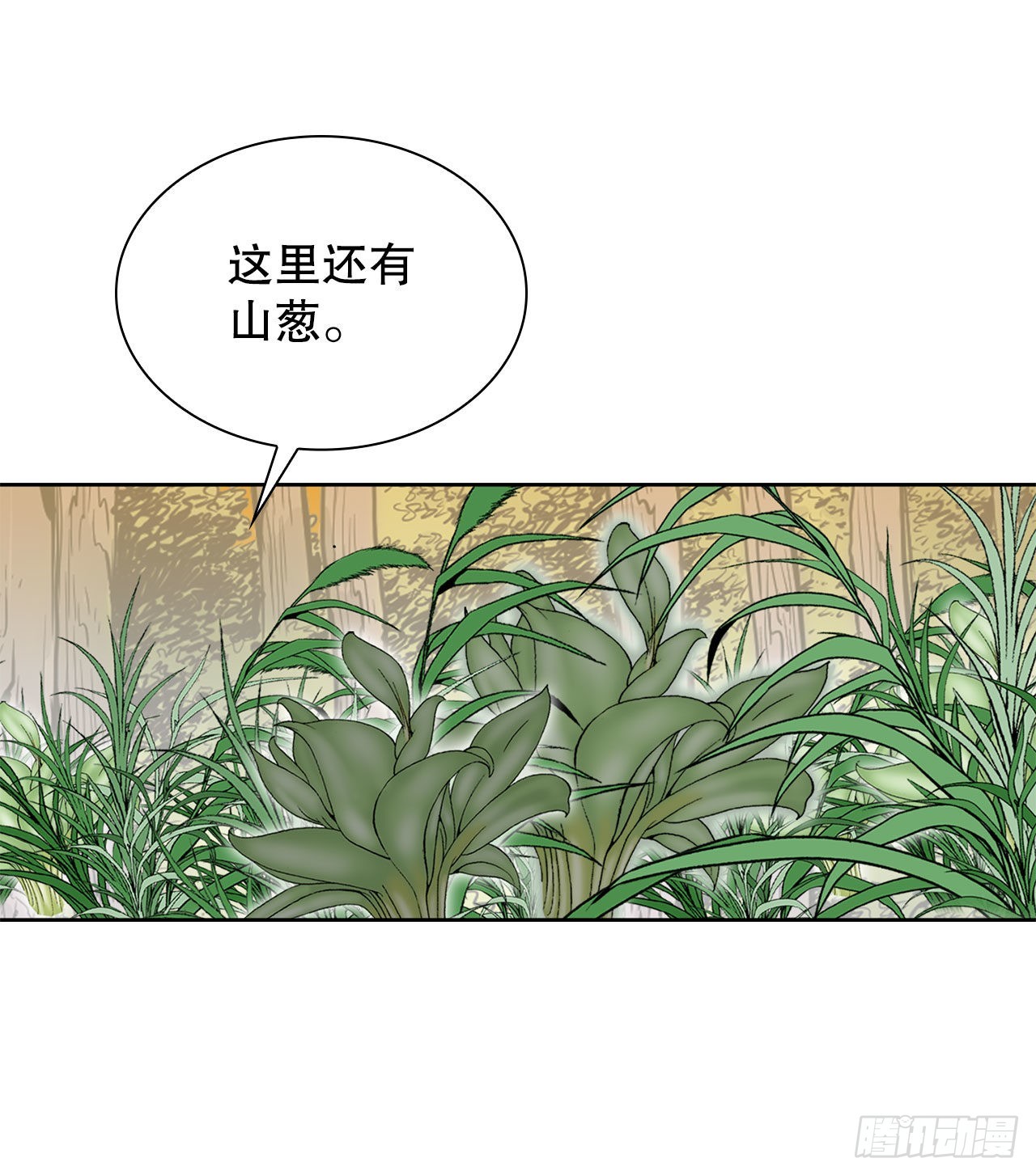 8.野营77