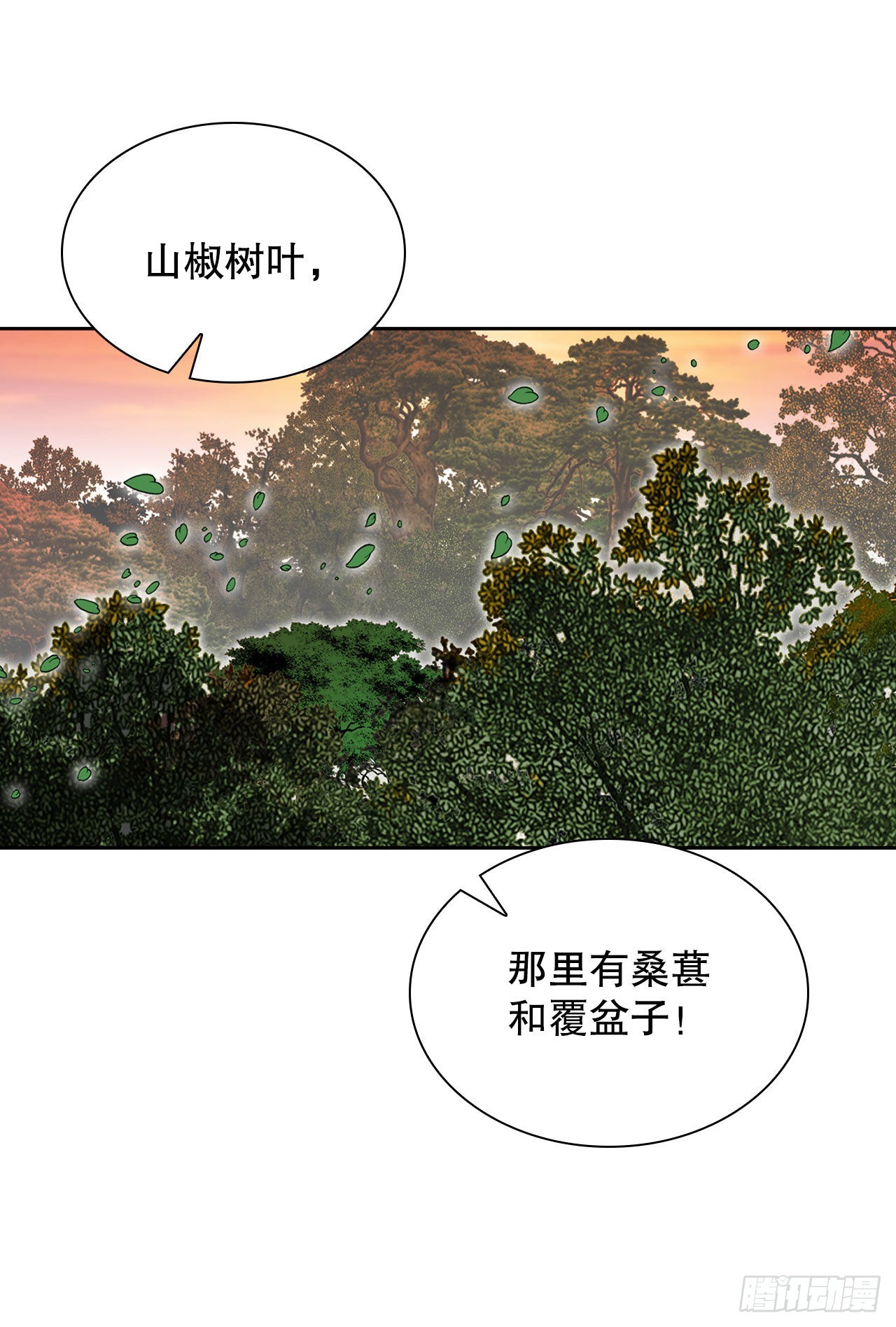 8.野营76