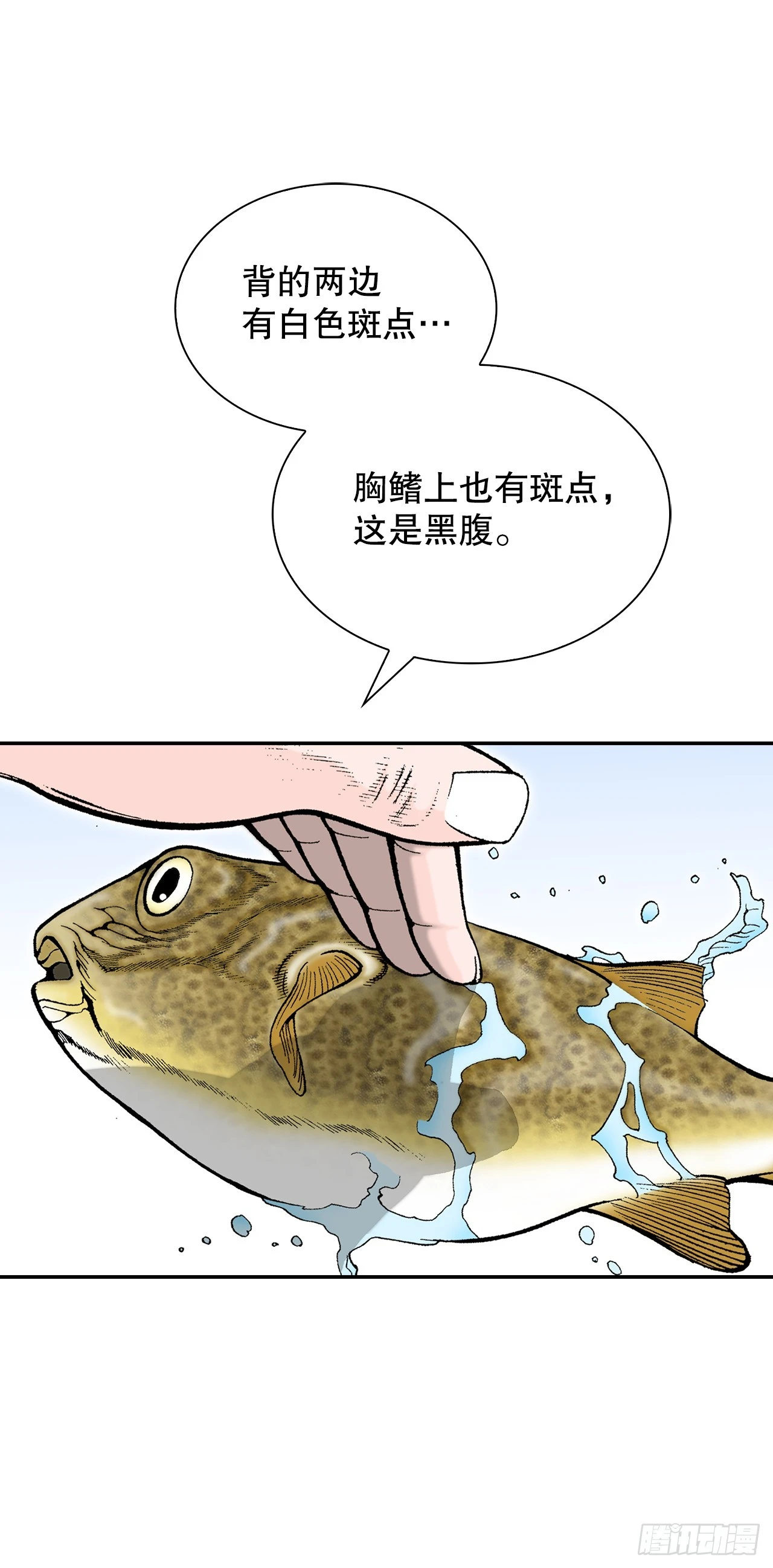 90.河豚46