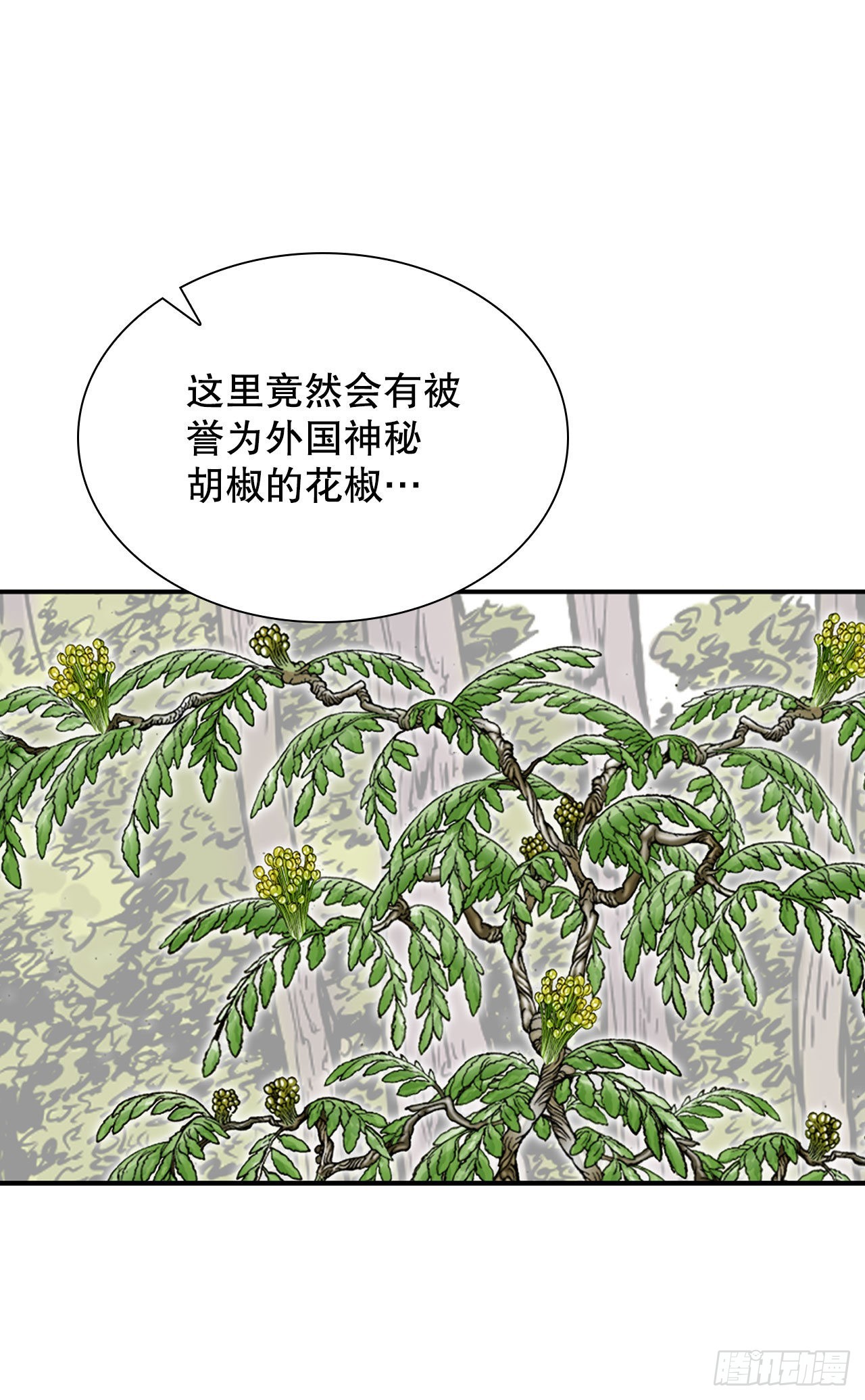 8.野营72