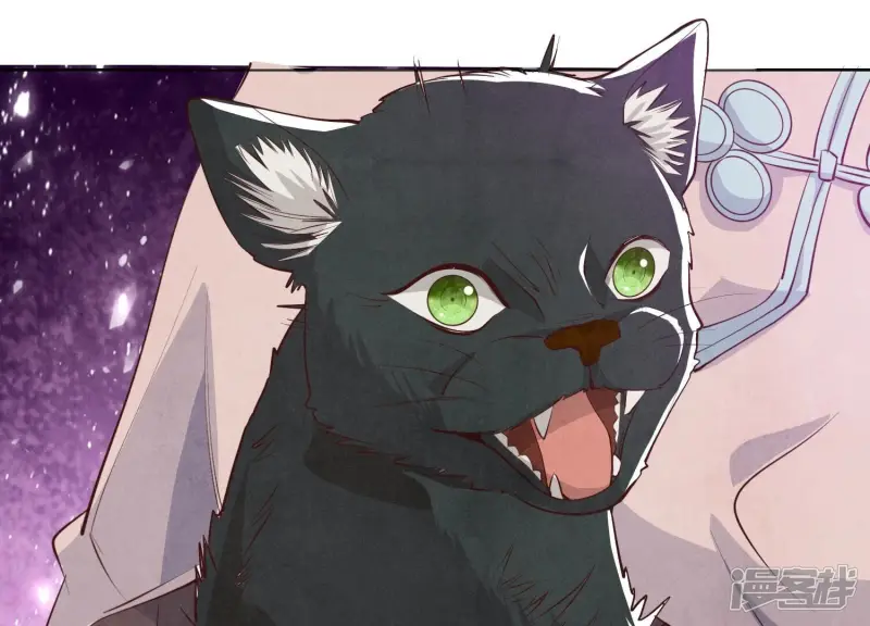 第18话 野猫8