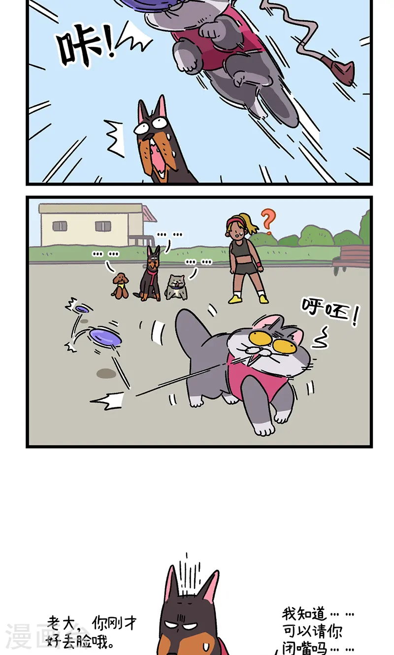 第95话2 遛猫还是遛狗5