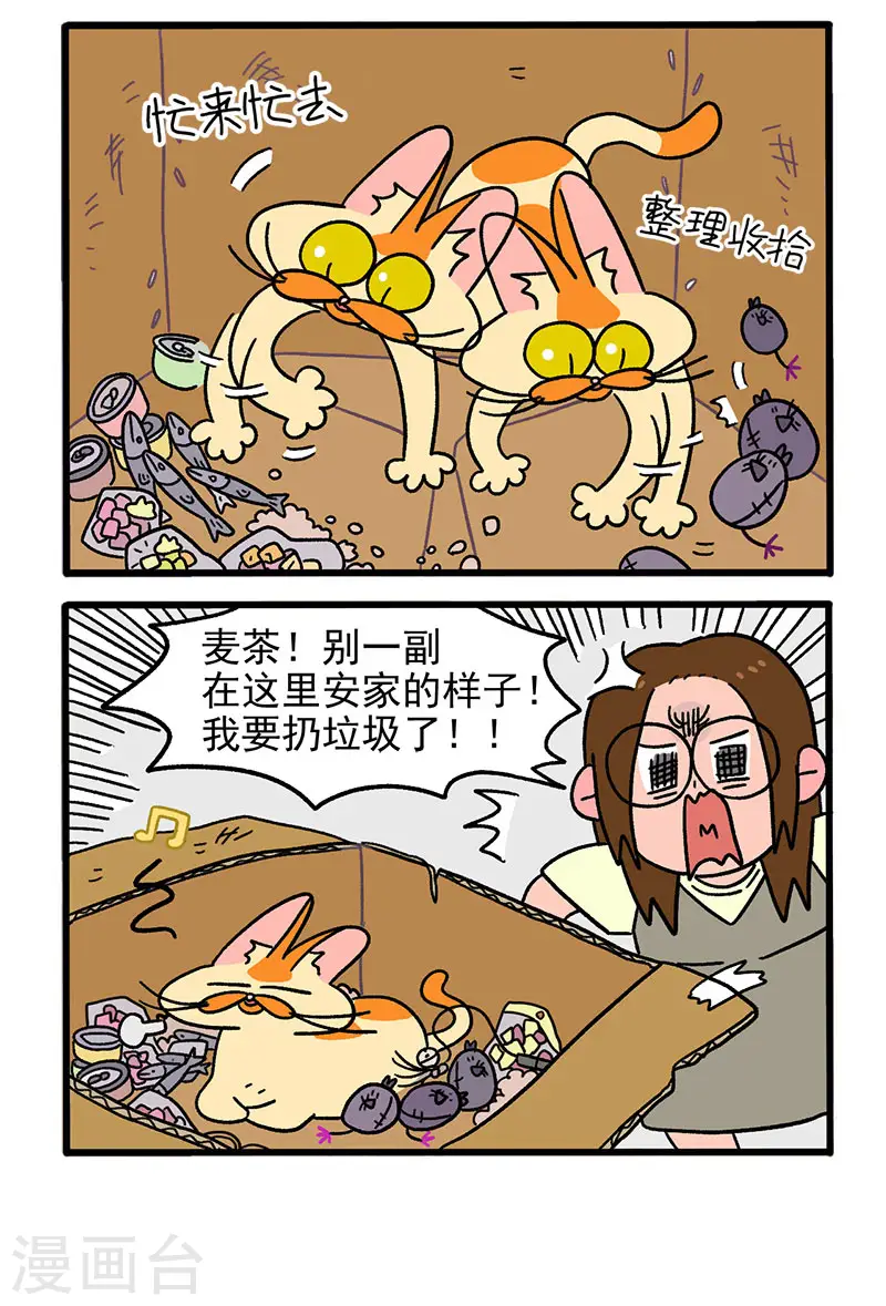 第30话 麦茶之家3