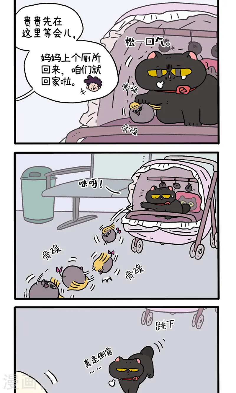 番外21下 富贵花开11