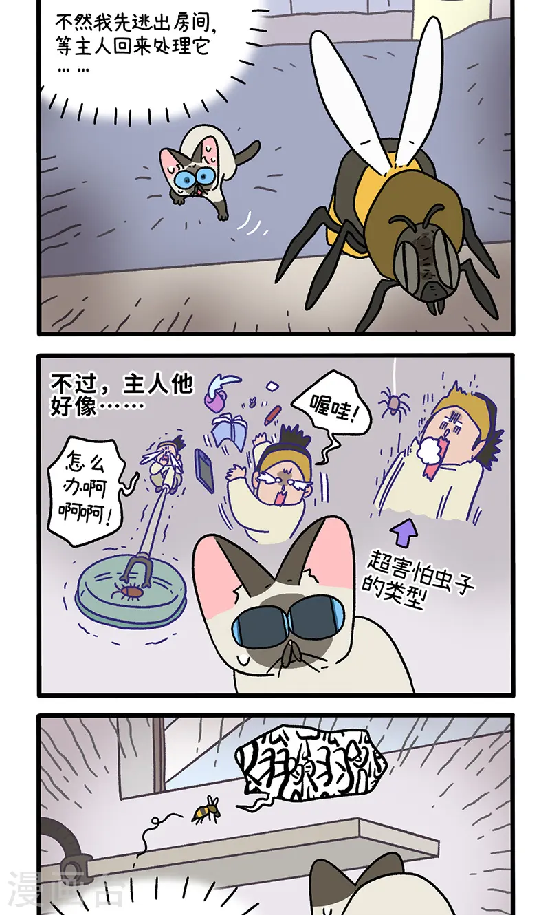 番外17下 默默的一天11