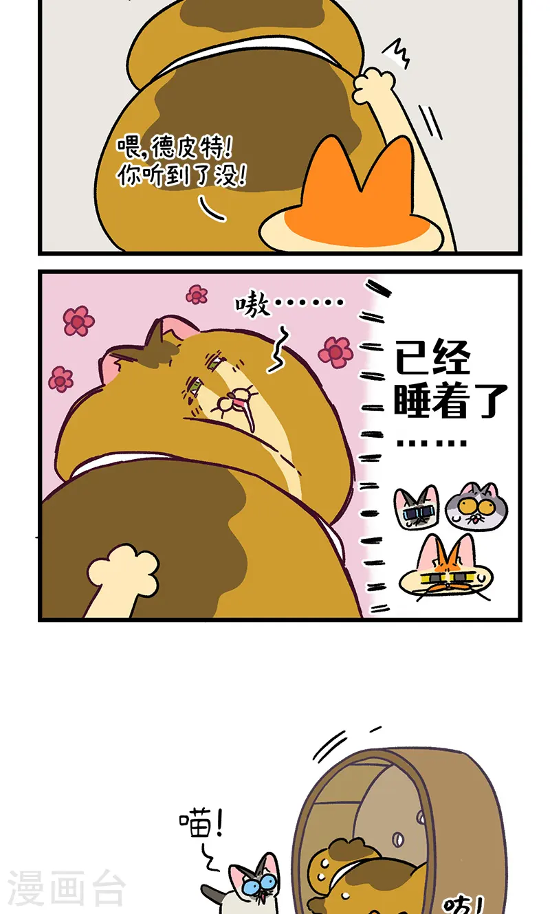 第134话2 德皮特减肥记35