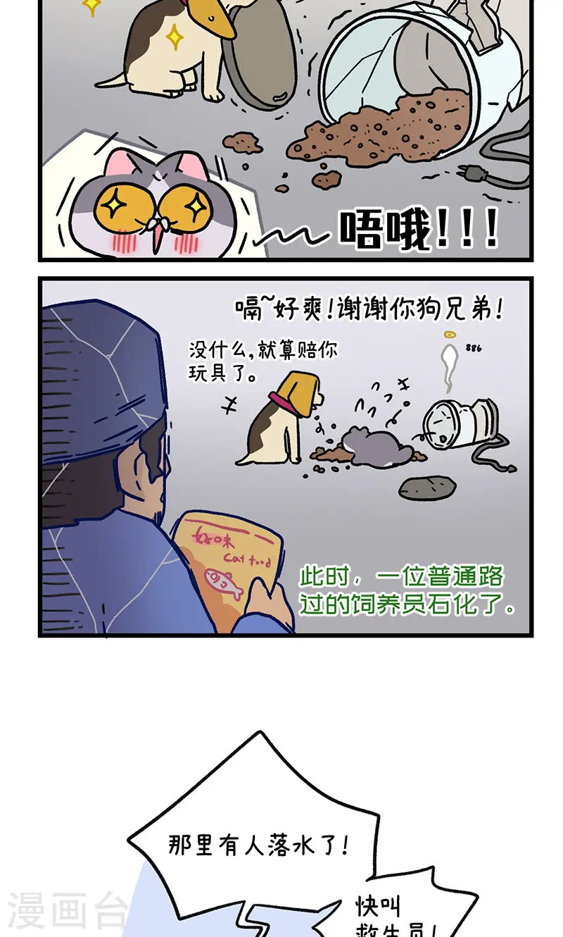 第128话2 关于猫狗是怎么相识的5
