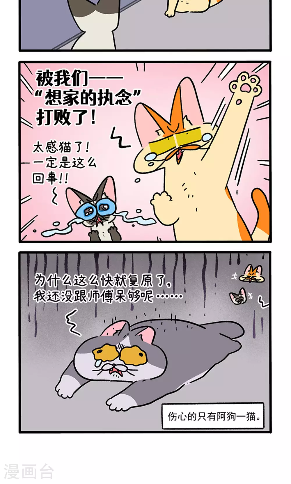 第155话2 如果交换身体的话63