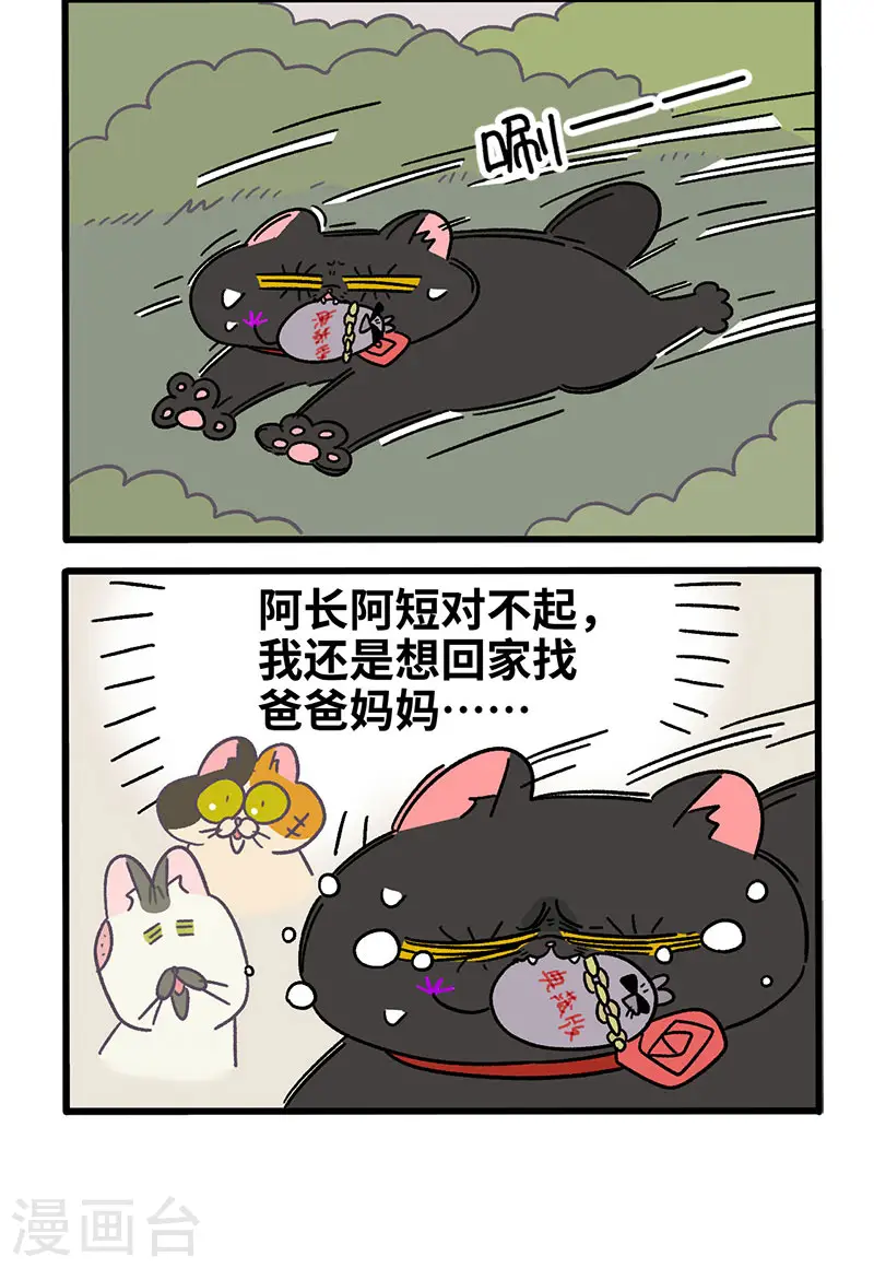 第40话1 老大的危机3